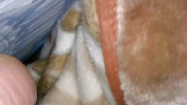 シャンパンの処女のボトルと彼が膣に入れたバナナのキログラムとの日の男。 レズビアン av 無料